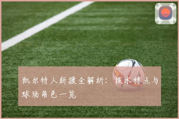 凯尔特人新援全解析：技术特点与球场角色一览