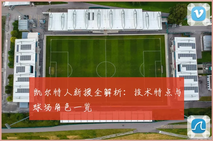 凯尔特人新援全解析：技术特点与球场角色一览